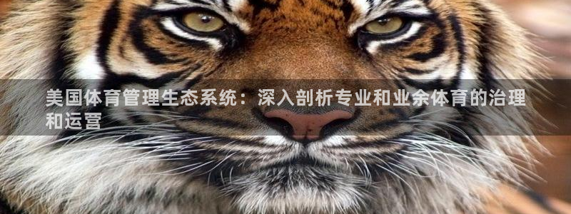 必一运动听的歌：美国