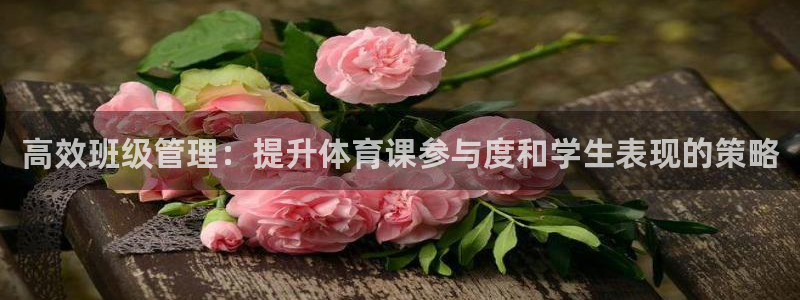 必一体育在线下载：高