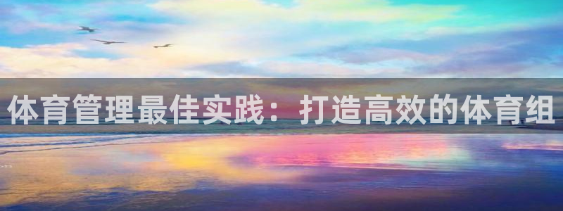 必一运动：体育管理最