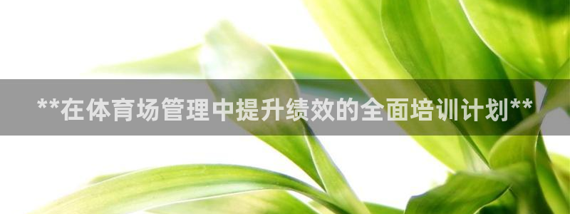 必一体育网页登陆：*