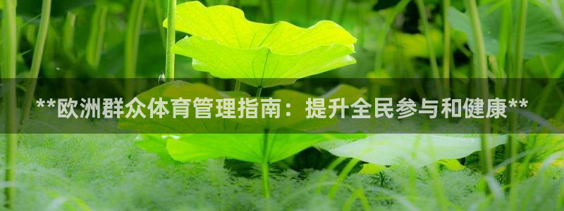 必一体育网站：**欧