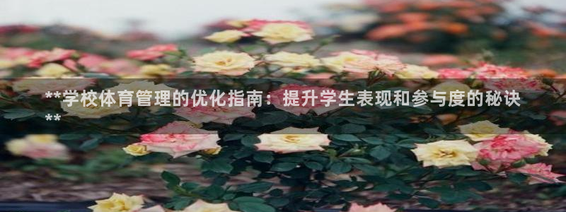 必一体育登录入口AP