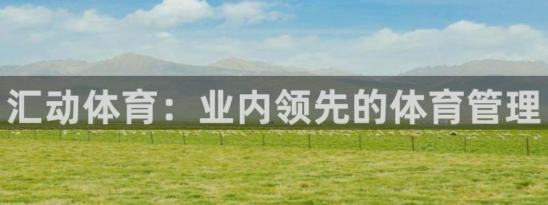 必一体育官网网址：汇