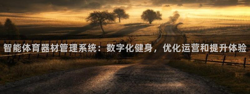 必一体育官网网站：智
