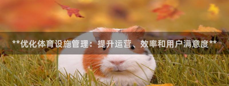 必一运动·(B-sp