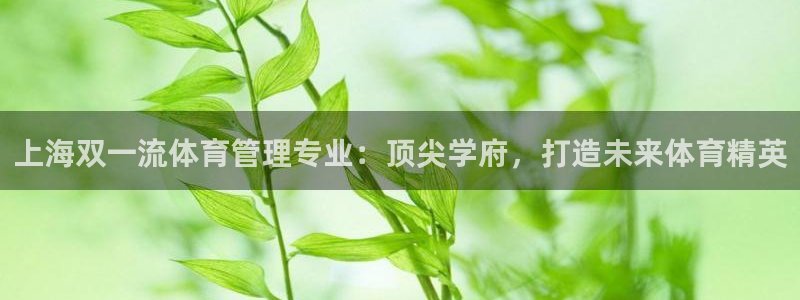 必一体育合法吗：上海