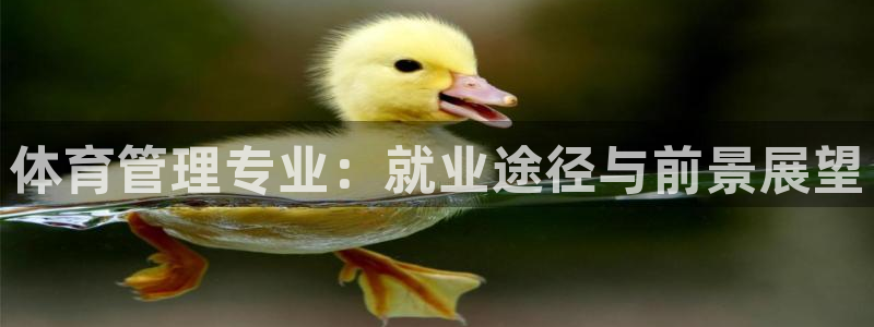 必一体育官网入口：体