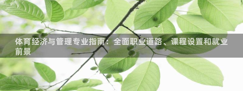 必一体育app官方网