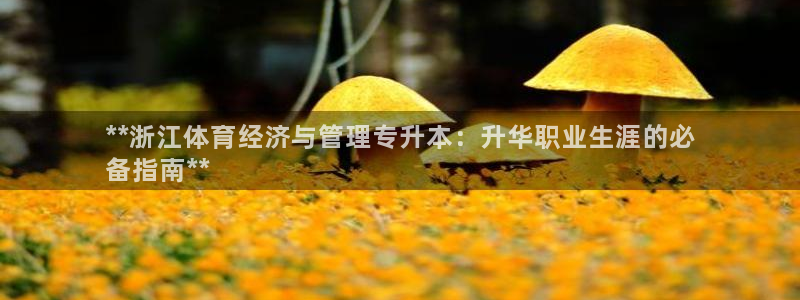 b体育官网下载入口a