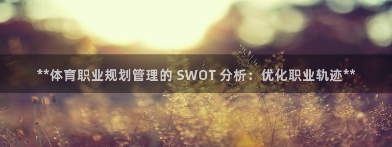 必一体育sport官