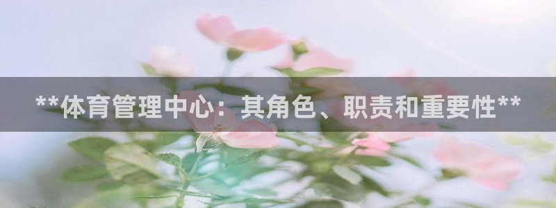 必一运动bsport