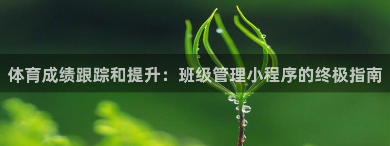 必一体育运动app：