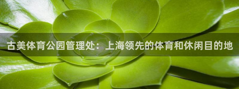 必一体育秀给网：古美