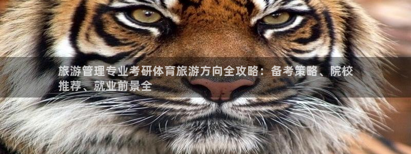 必一运动sport网