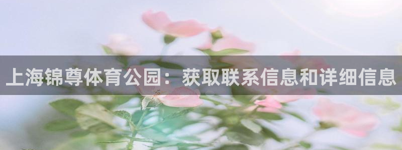 必一体育app官方网