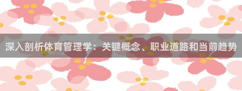必一运动bsport