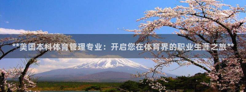 必一体育sport官