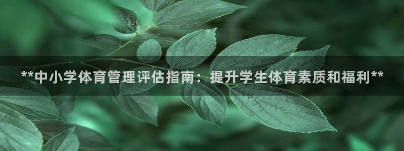 必一体育全站在线登录