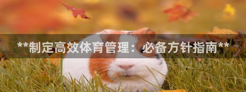 必一体育下载移动版：
