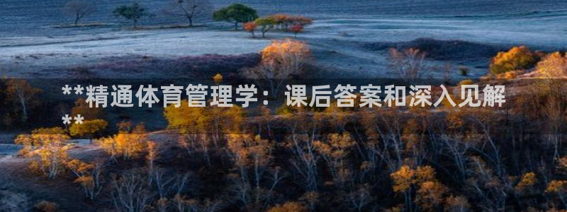 必一体育是哪里的台子