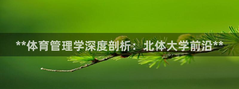 必一体育bsport