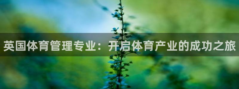 必一运动听的歌：英国