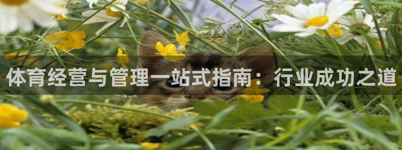 必一体育网页登录版官