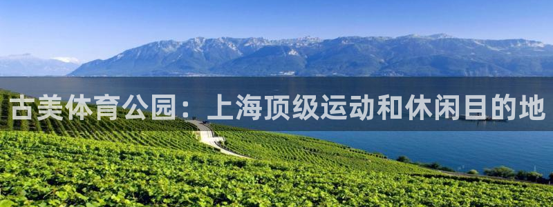 必一体育运动下载：古