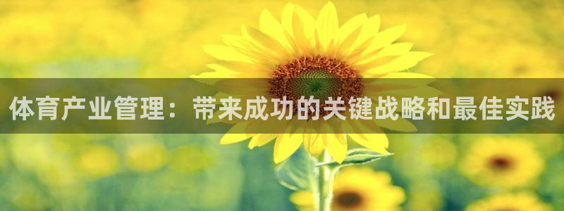 必一运动：体育产业管