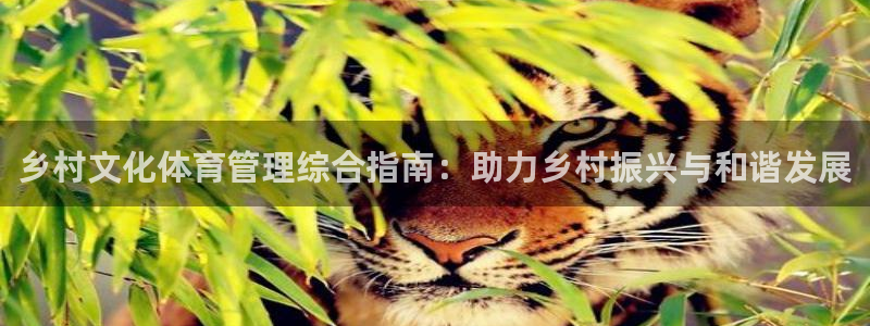 必一体育官网网址：乡