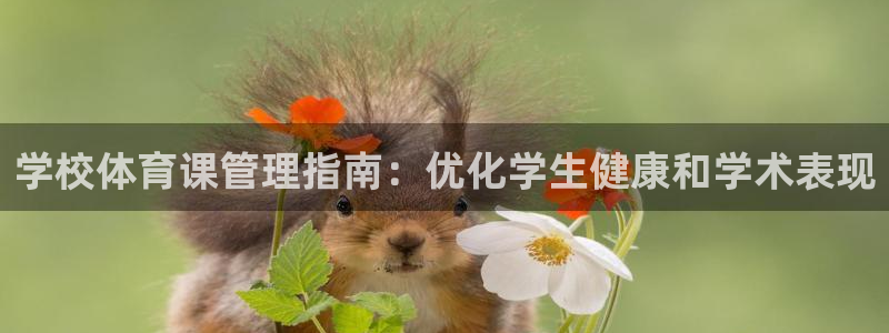 必一体育：学校体育课