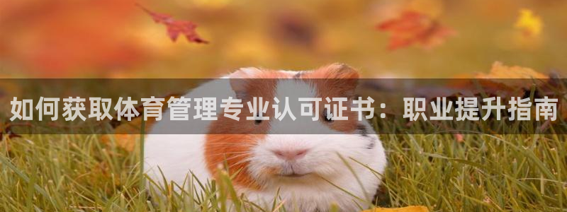 必一体育验证码：如何