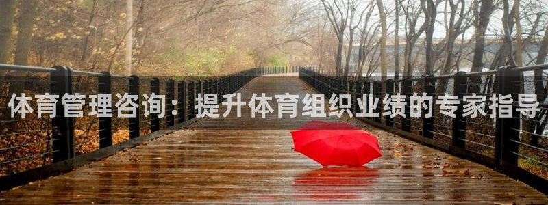 必一体育怎么下载：体