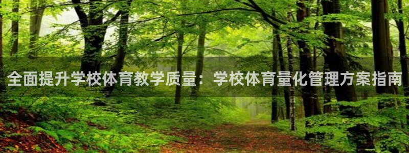 必一体育没了：全面提