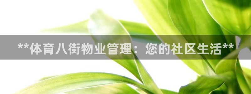 必一体育验证码：**