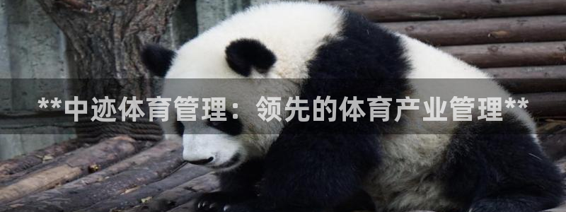 必一运动官网登录入口
