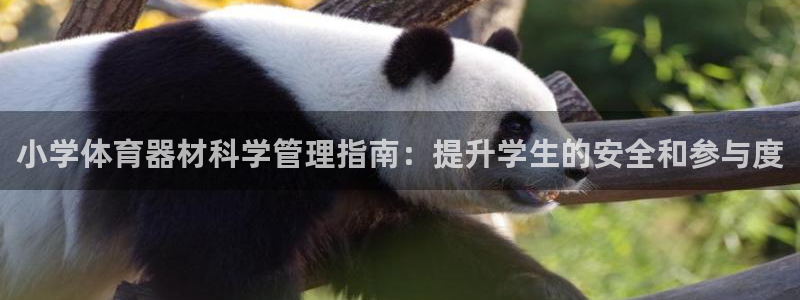 必一体育能提现大金额