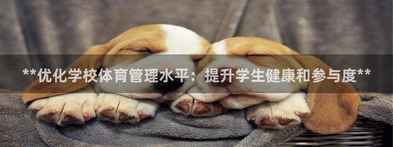 必一运动·体育：**