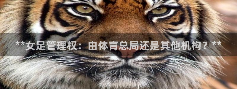 必一运动sport爱