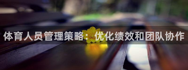 必一体育没了：体育人