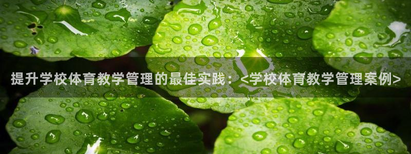 必一运动官网登录入口