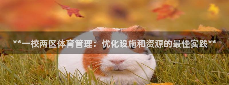 必一体育在线登录：*