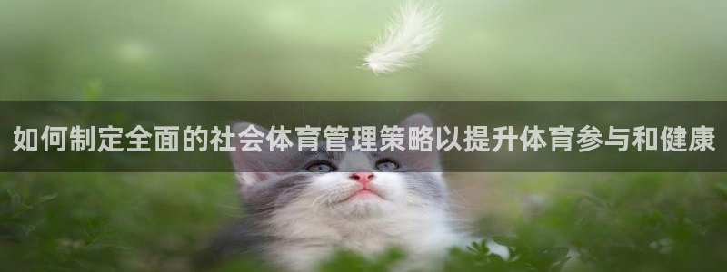 必一体育服下载最新版