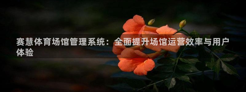 必一体育没了：赛慧体