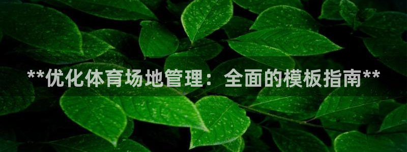 必一体育官网app：