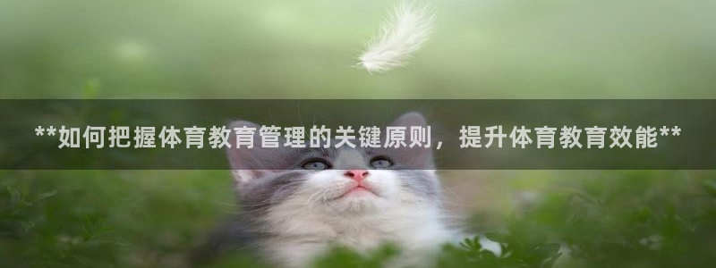 必一体育没了：**如