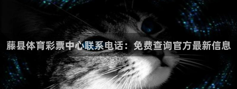 必一运动听的歌：藤县