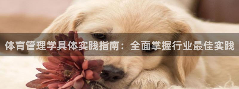 必一运动bsport