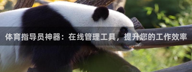 必一运动aop：体育