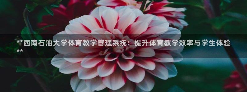 必一体育在线登陆：*